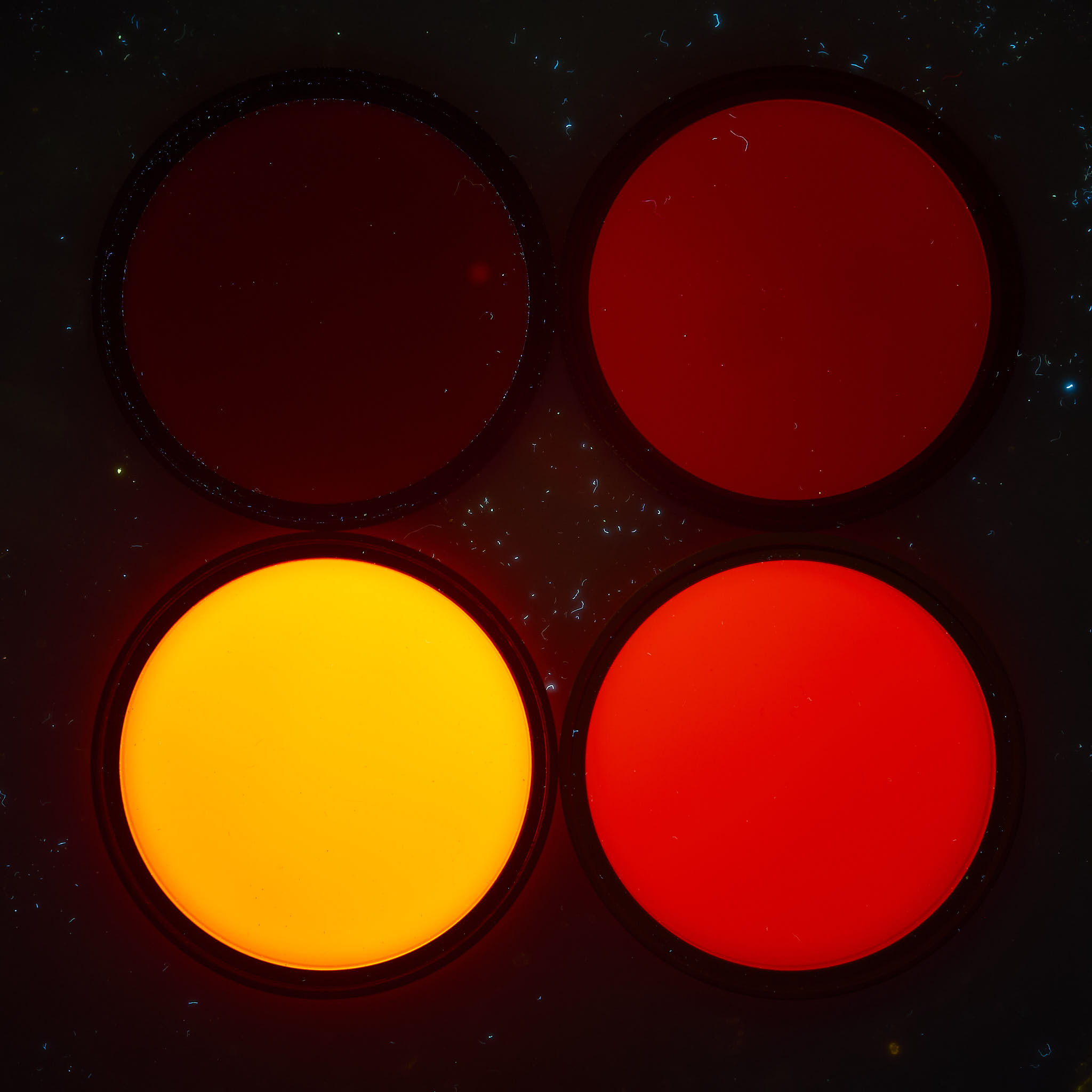 Four filters glowing to varying extents.